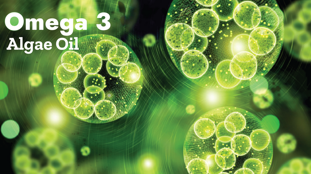 best vegan multivitamin with omega 3