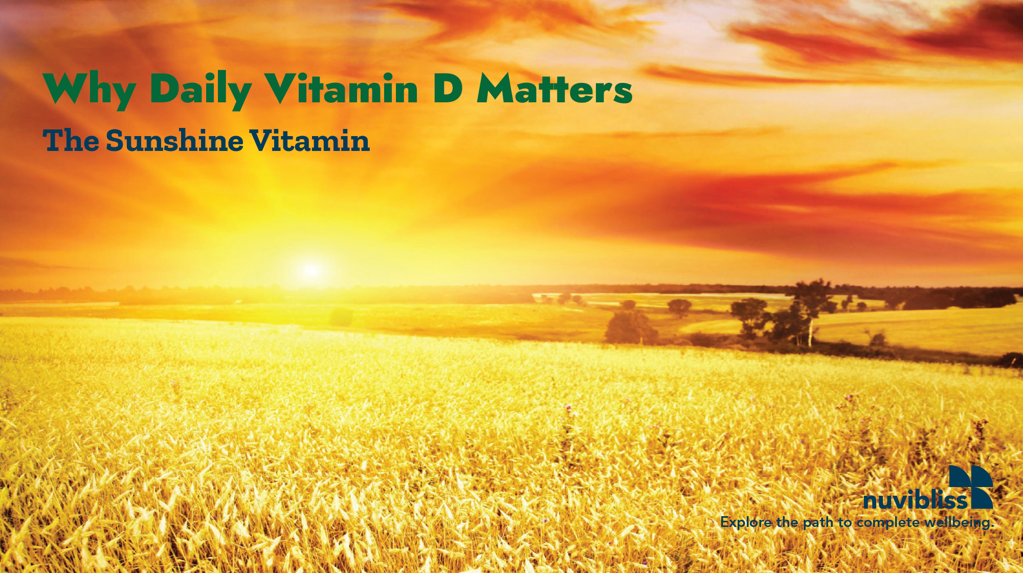 The Importance of Daily Vitamin D Intake: Why Nuvibliss Gourmet Multivitamin Advocates for Consistency