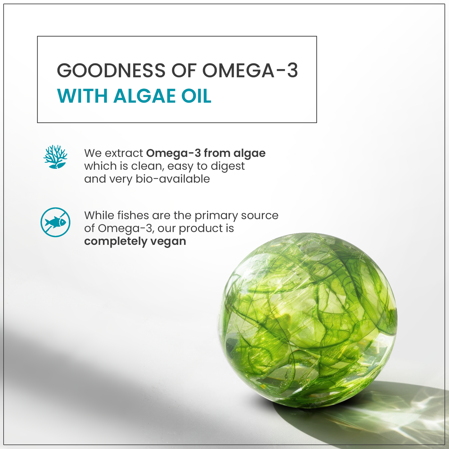 Gourmet Multivitamin for Women